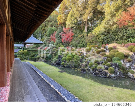 浜松・龍潭寺の日本庭園 134665346