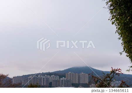 宝塚　遠景 134665611
