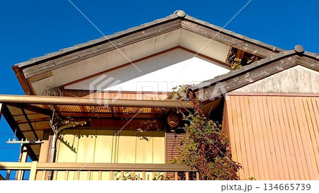 老朽化した建物(2階建て)とスズメバチの巣 134665739