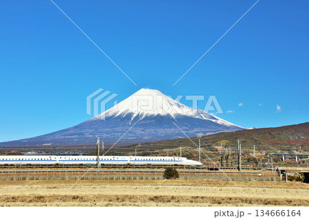 静岡県　青空の富士山と新幹線 134666164
