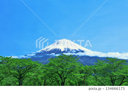 初夏の青空と新緑の風景　そして富士山 134666173