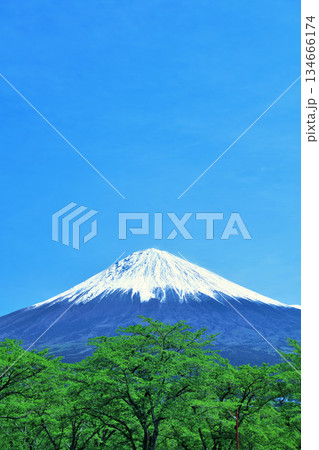 初夏の青空と新緑の風景　そして富士山 134666174