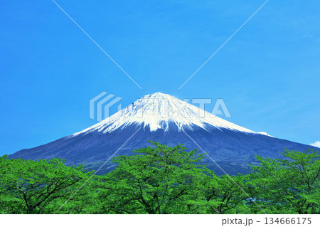 初夏の青空と新緑の風景　そして富士山 134666175