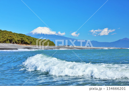 静岡県　青空の三保の松原と富士山 134666201