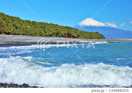 静岡県　青空の三保の松原と富士山 134666203