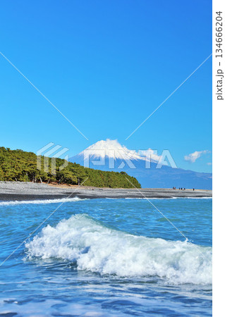 静岡県 青空の三保の松原と富士山 静岡県 青空の三保の松原と富士山 134666204