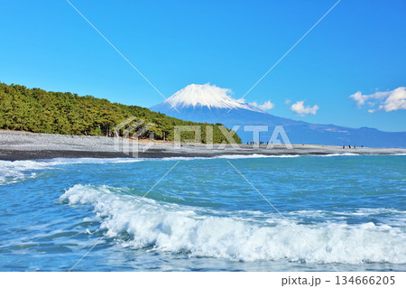 静岡県 青空の三保の松原と富士山 静岡県 青空の三保の松原と富士山 134666205