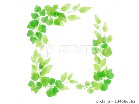 手書き水彩の新緑の葉フレーム 134666362
