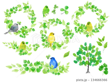 春のカラフルな小鳥と葉 水彩イラスト 春のカラフルな小鳥と葉 水彩イラスト 134666366