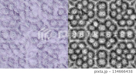 Limestone texture background. Limestone background via an alpha channel. Limestone texture background. Limestone background via an alpha channel. 134666438