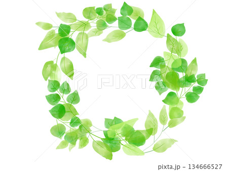 爽やかな新緑の手書き水彩フレーム素材 134666527