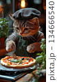 Culinary cat crafting delicious pizza in a cozy kitchen. Generative AI 134666540