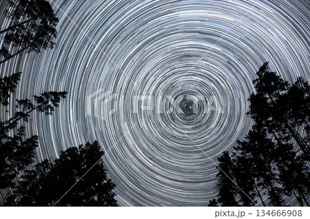 Night sky showcasing star trails over a forest clearing in bright starry sky 134666908