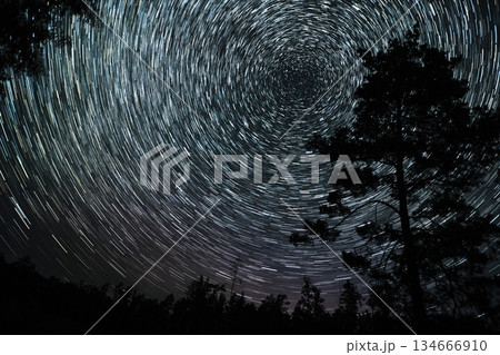 Star trails create mesmerizing patterns above a forest during a clear night sky 134666910