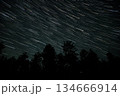 Star trails illuminate the night sky over a dense forest in a serene location 134666914
