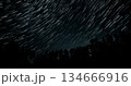 Long exposure capturing star trails over a forest at night demonstrating celestial movement 134666916