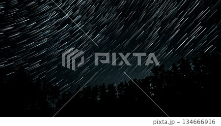 Long exposure capturing star trails over a forest at night demonstrating celestial movement 134666916