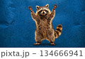 The raccoon stands against a blue background, waving its paws, banner featuring a happy raccoon 134666941