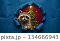 raccoon peeking out of a hole in dark blue paper, against a decorated Christmas tree, card wishing you a Merry Christmas and Happy New Year 134666943