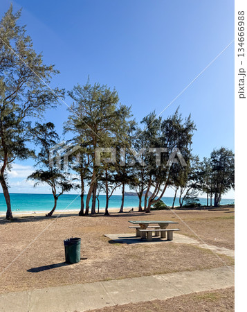 ハワイ ワイマナロビーチパーク 青い海と空 南国 風景 ハワイ ワイマナロビーチパーク 青い海と空 南国 風景 134666988