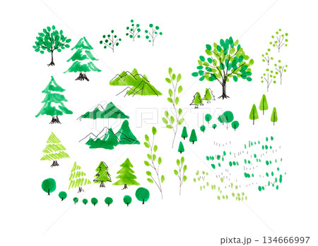 水彩の木のイラスト　イラスト背景　森　林　山 134666997