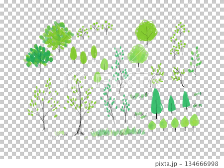 可愛樹木手繪插畫素材套裝 134666998