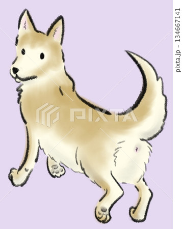 歩きながらコチラを振り返る犬のイラスト 134667141