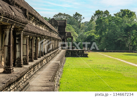 Perspective view of long stone gallery corridor with row of pillars at ancient Angkor Wat temple complex on green lawn near forest 134667234