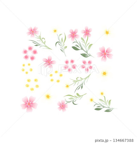 vector tropical flowers floral illustration flower illustration 134667388
