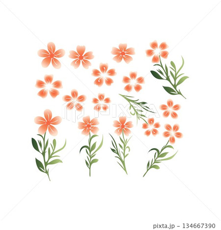 vector tropical flowers floral illustration flower illustration vector tropical flowers floral illustration flower illustration 134667390
