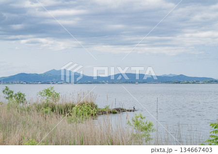 茨城　阿見町から望む霞ヶ浦と筑波山 134667403