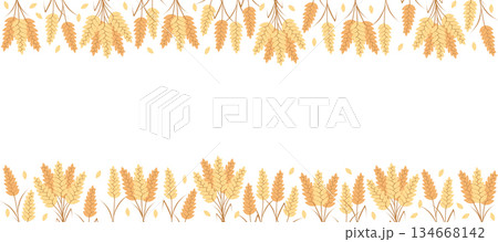 Frame with agricultural wheat and grain ears. Concept bread or farming, organic food. Vector illustration, copy space. 134668142