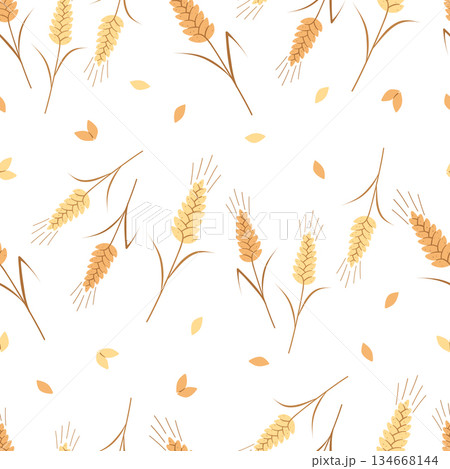 Vector seamless pattern with agricultural wheat and grain ears. Background bread or beer packaging, farming, organic food concepts. 134668144