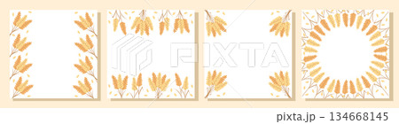 Set of ornamental frame with cereal spikelets, wheat ears, cereal seeds, decorative border. Concept bread or farming, organic food. Vector illustration, copy space. Set of ornamental frame with cereal spikelets, wheat ears, cereal seeds, decorative border. Concept bread or farming, organic food. Vector illustration, copy space. 134668145