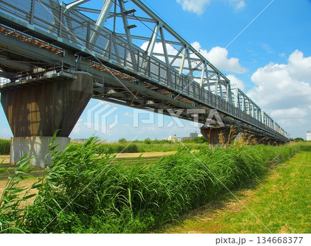 初夏の朝の江戸川に架かる武蔵野線鉄橋風景 134668377