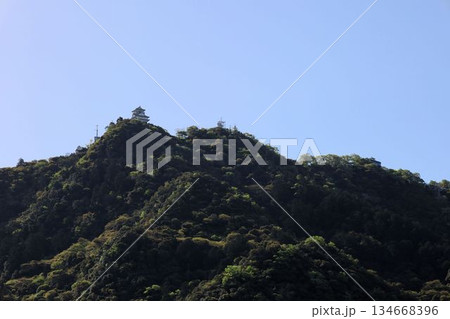 岐阜公園から見る岐阜城 岐阜公園から見る岐阜城 134668396