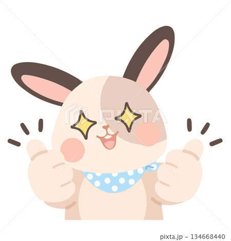 Cute Rabbit with Thumbs Up Illustration Cute Rabbit with Thumbs Up Illustration 134668440