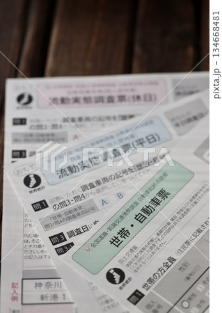 世帯用自動車の流動実態調査票 手書き用申請用紙 世帯用自動車の流動実態調査票 手書き用申請用紙 134668481