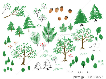シンプルな冬の森の植物イラストセット 水彩の木のイラスト シンプルな冬の森の植物イラストセット 水彩の木のイラスト 134668723