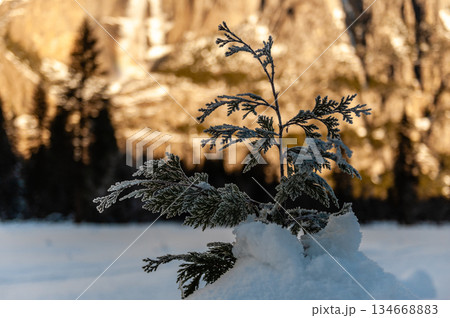 Winter in Yosemite Valley Winter in Yosemite Valley 134668883