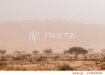 Sandstorm over sossusvlei 134668898