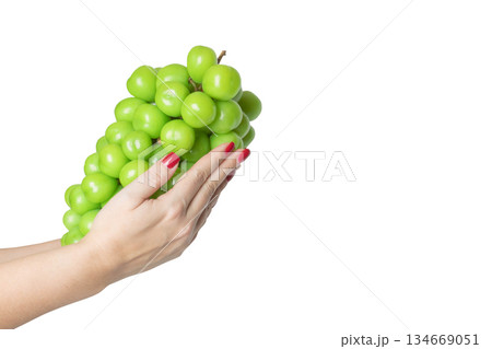 Hands holding fresh green grapes isolated on white background Hands holding fresh green grapes isolated on white background 134669051