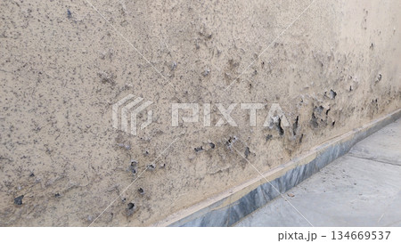 moisture damaged wall with blistering and efflorescence 134669537