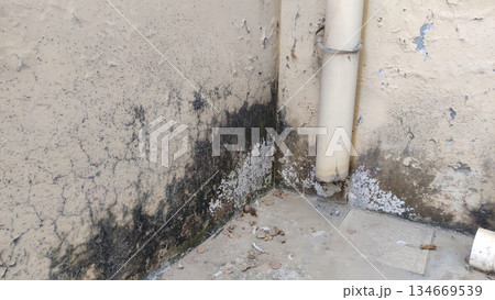 mold damaged wall corner with peeling paint and debris mold damaged wall corner with peeling paint and debris 134669539
