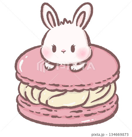 Cute Bunny Sleeping On Giant Pink Macaron Dessert Illustration Sweet Kawaii Bakery Style Spring Pastel Rabbit Treat Fantasy Clipart 134669873