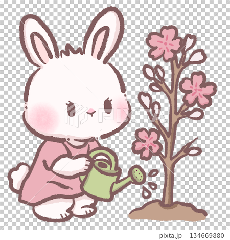 Cute Sakura Bunny Watering Cherry Blossom Tree Soft Pastel Rabbit Illustration Kawaii Spring Garden Clipart For Stickers Planners And Cards Cute Sakura Bunny Watering Cherry Blossom Tree Soft Pastel Rabbit Illustration Kawaii Spring Garden Clipart For Stickers Planners And Cards 134669880