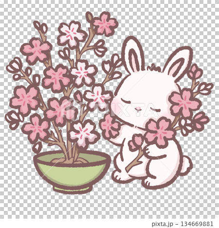 Adorable Sakura Bunny With Cherry Blossom Plant Cute Spring Rabbit Illustration Kawaii Floral Clipart For Journals Stickers And Decor Adorable Sakura Bunny With Cherry Blossom Plant Cute Spring Rabbit Illustration Kawaii Floral Clipart For Journals Stickers And Decor 134669881