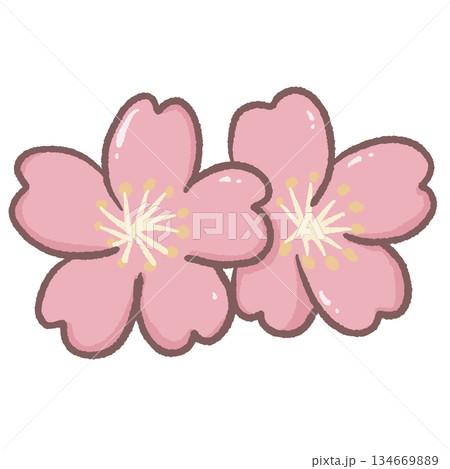 Cute pair of pink sakura flowers with rounded petals and soft glossy highlights in kawaii illustration style ideal for spring designs stickers and planners 134669889