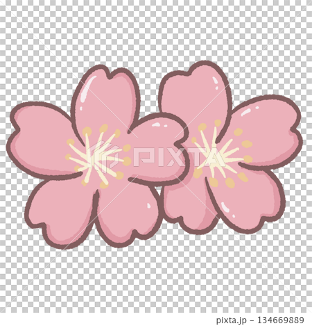 Cute pair of pink sakura flowers with rounded petals and soft glossy highlights in kawaii illustration style ideal for spring designs stickers and planners 134669889
