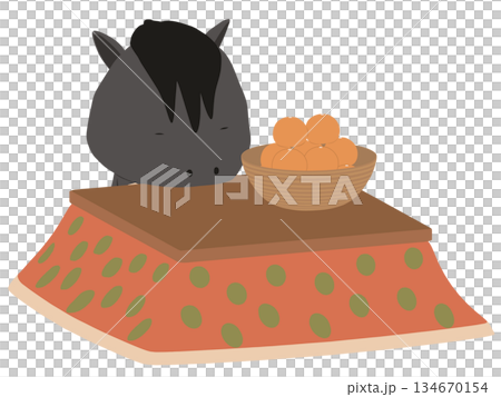 こたつでくつろぐ黒い馬 134670154